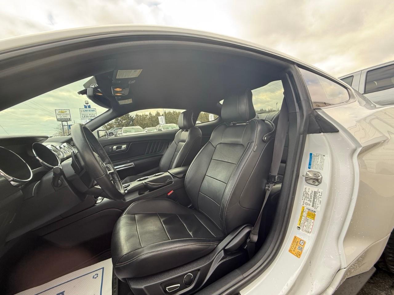 2016 Ford Mustang EcoBoost Premium 2dr Fastback Photo