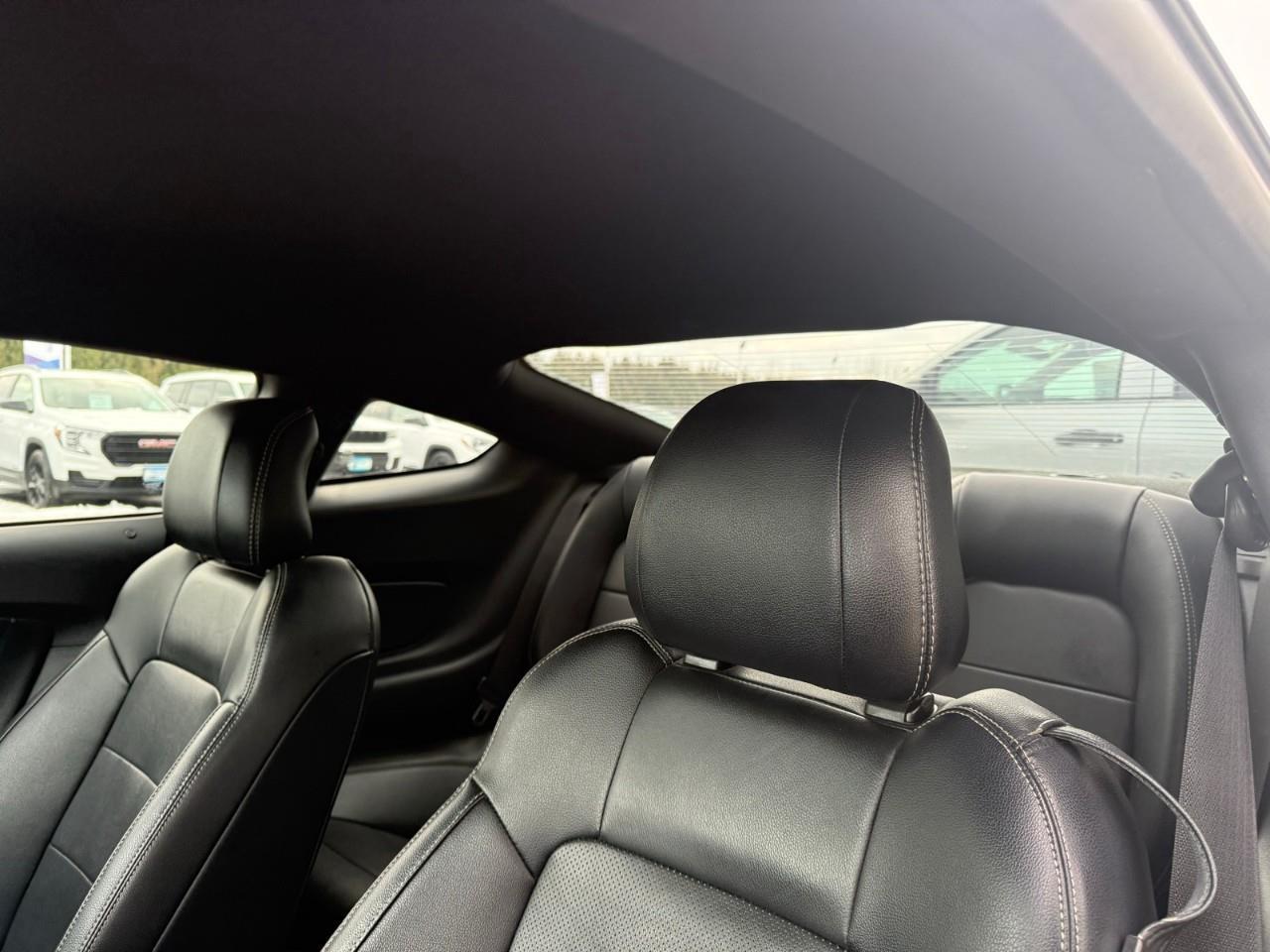 2016 Ford Mustang EcoBoost Premium 2dr Fastback Photo