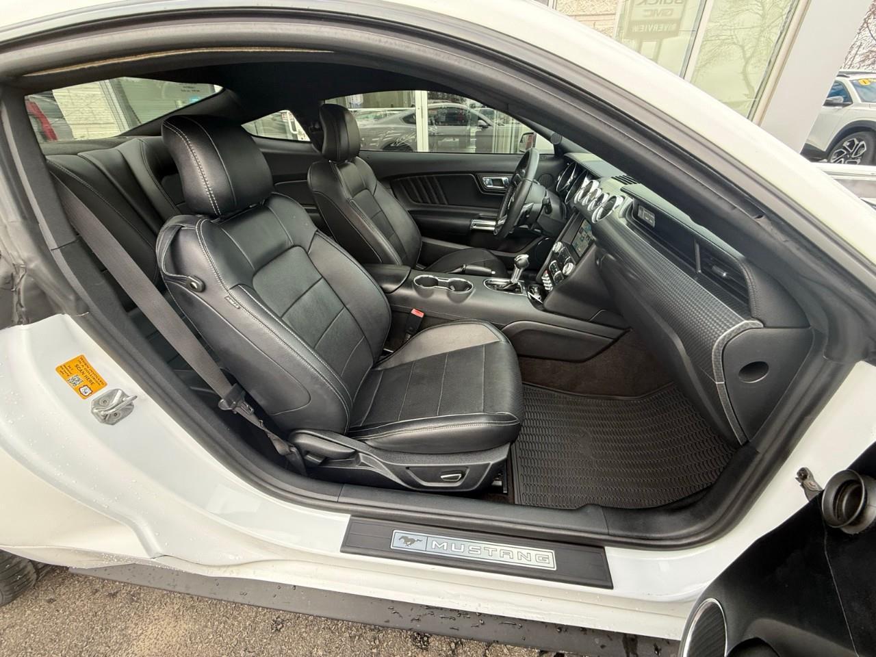 2016 Ford Mustang EcoBoost Premium 2dr Fastback Photo