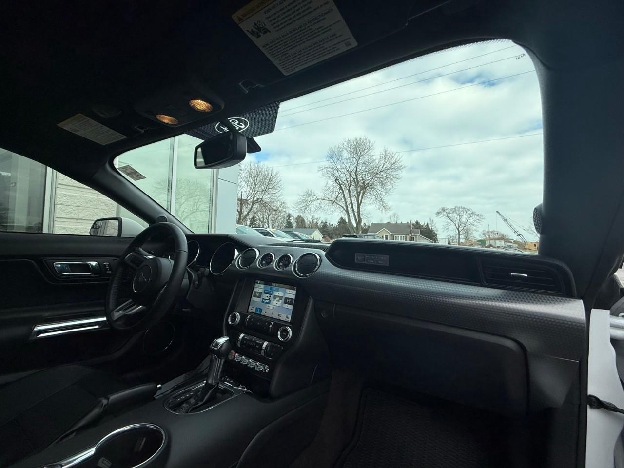 2016 Ford Mustang EcoBoost Premium 2dr Fastback Photo