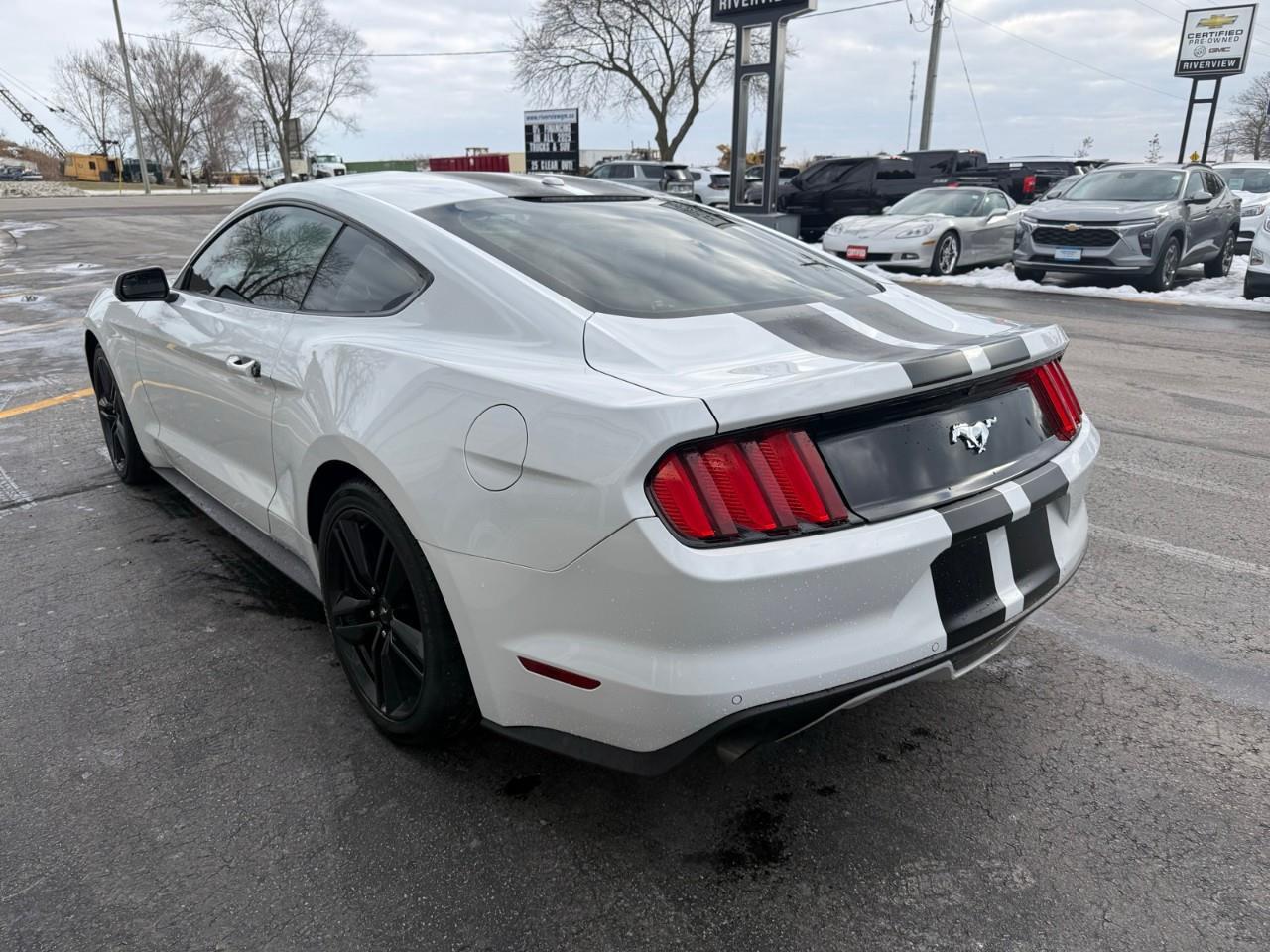 2016 Ford Mustang EcoBoost Premium 2dr Fastback Photo4