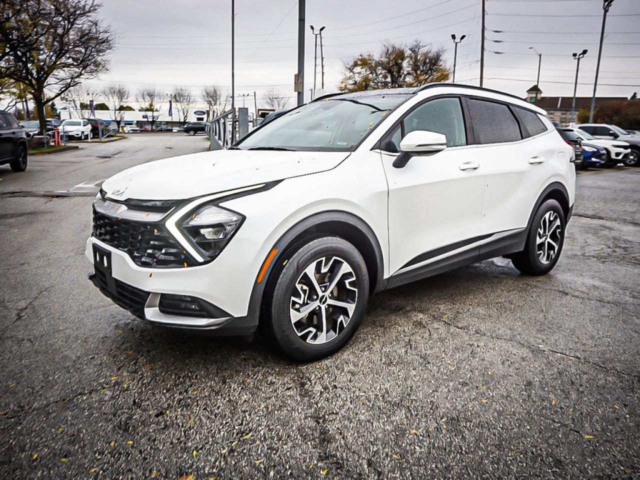 2024 Kia Sportage  Photo