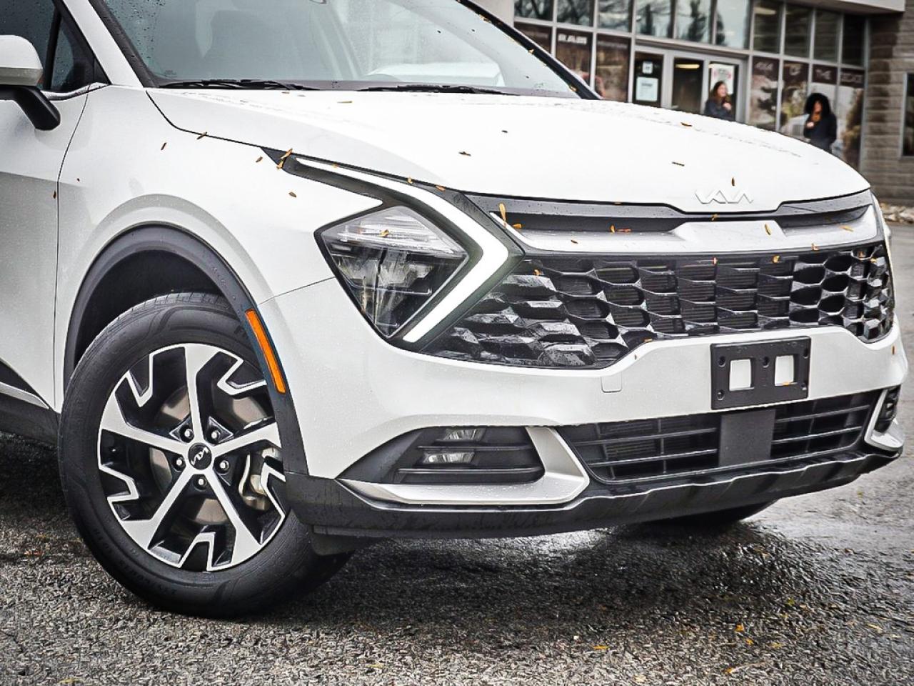 2024 Kia Sportage  Photo