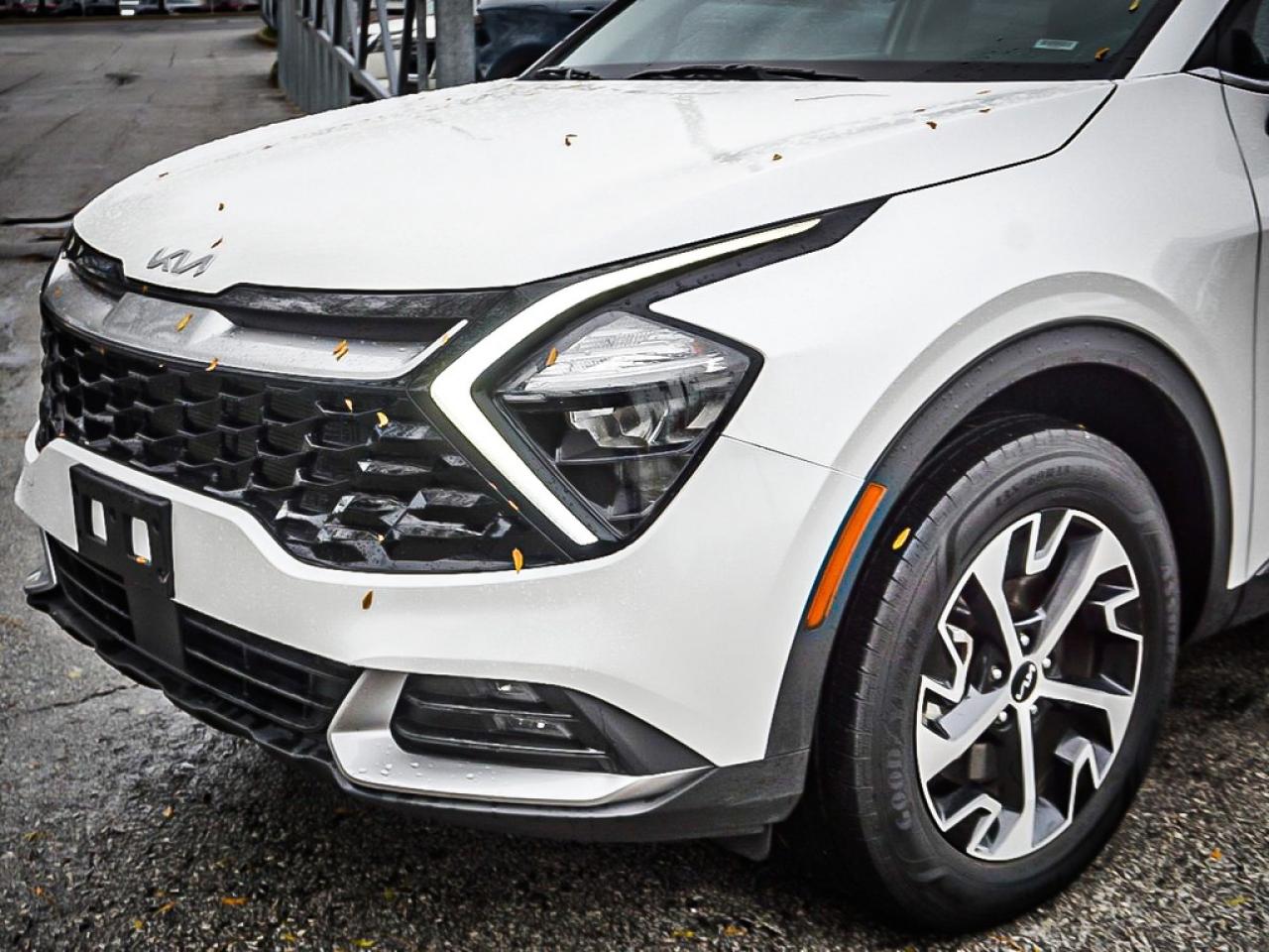 2024 Kia Sportage  Photo3