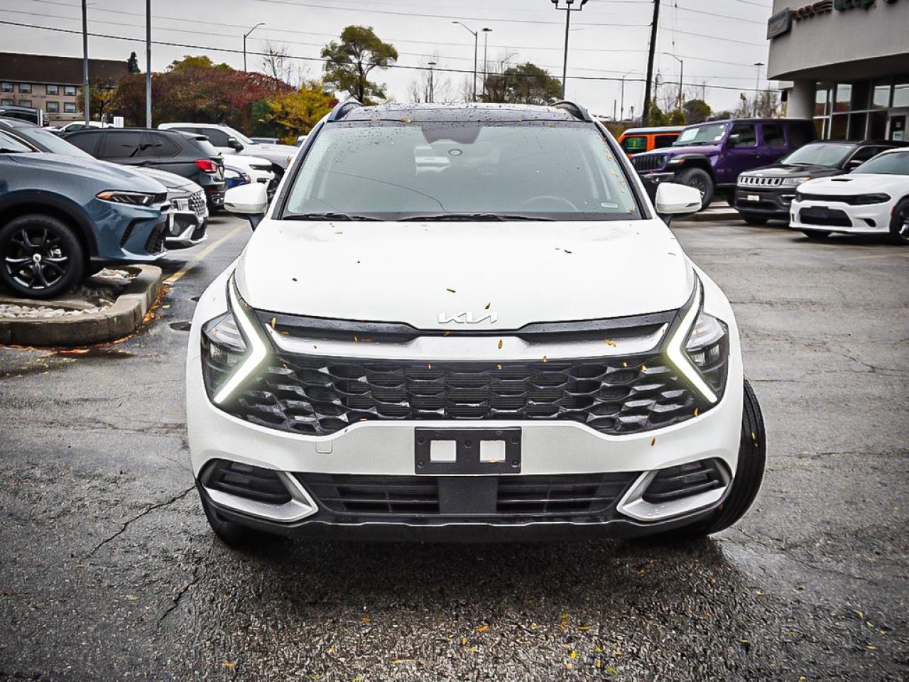 2024 Kia Sportage  Photo2