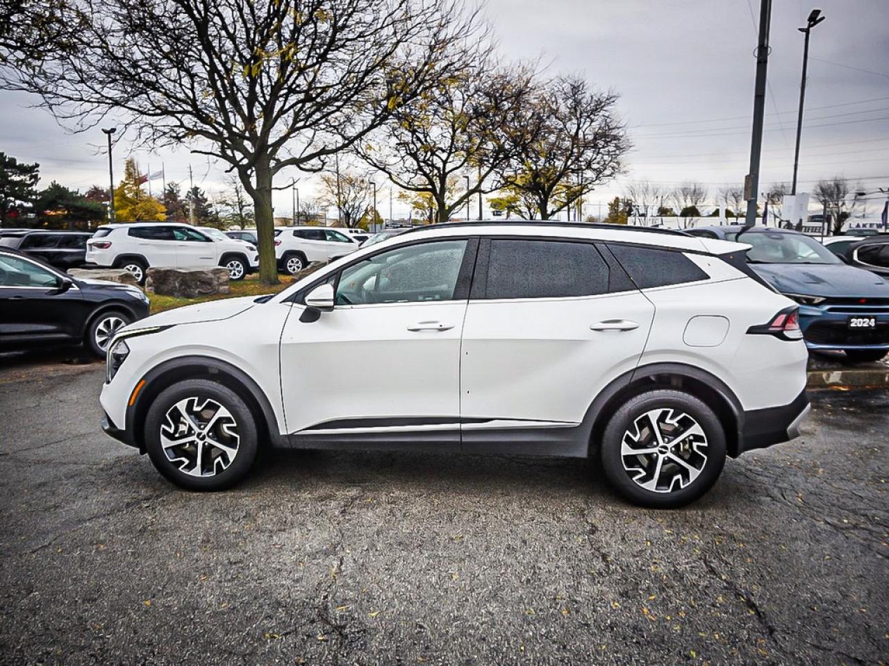 2024 Kia Sportage  Photo