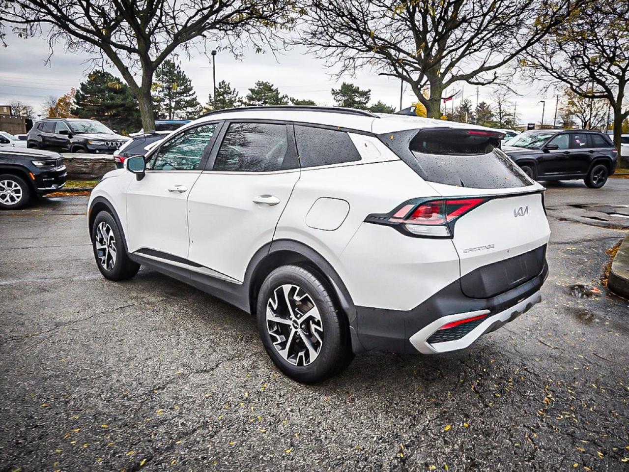 2024 Kia Sportage  Photo