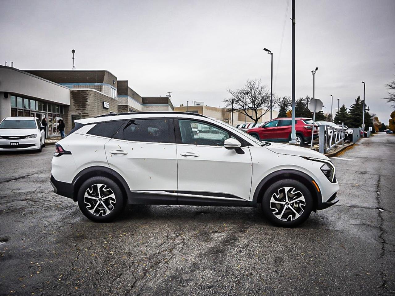 2024 Kia Sportage  Photo