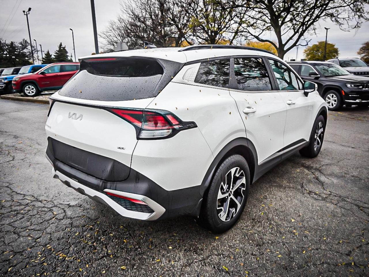 2024 Kia Sportage  Photo