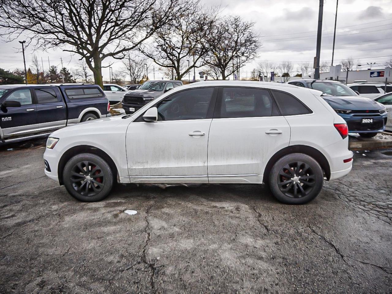 2013 Audi Q5  Photo