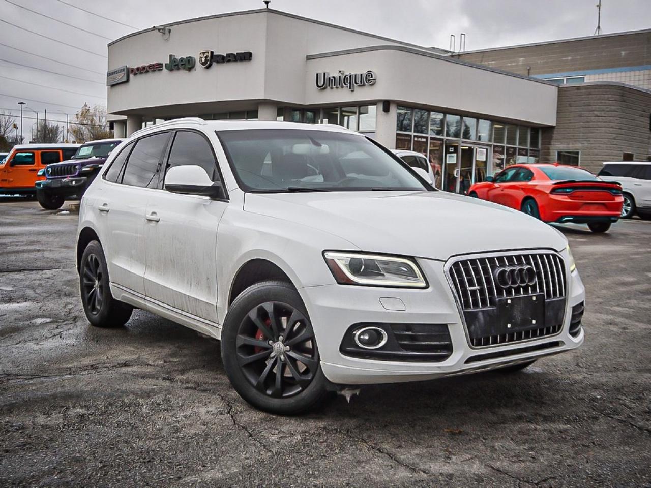 2013 Audi Q5  Photo
