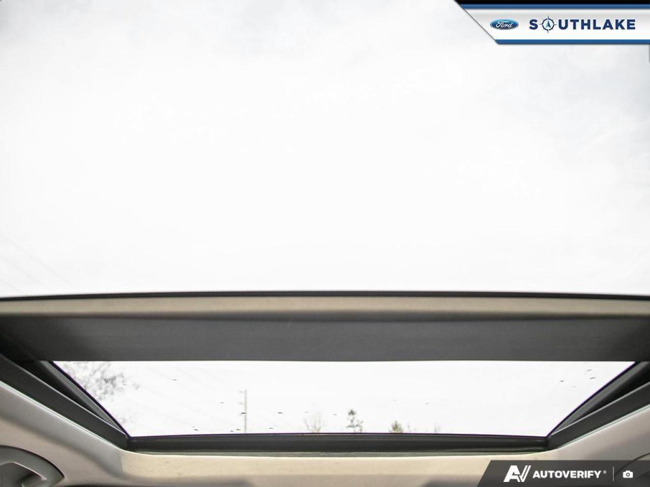 2021 Nissan Rogue Platinum 4dr All-Wheel Drive Photo