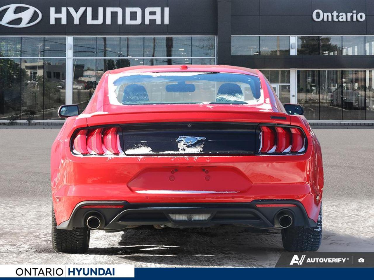 2019 Ford Mustang EcoBoost Premium 2dr Fastback Photo4