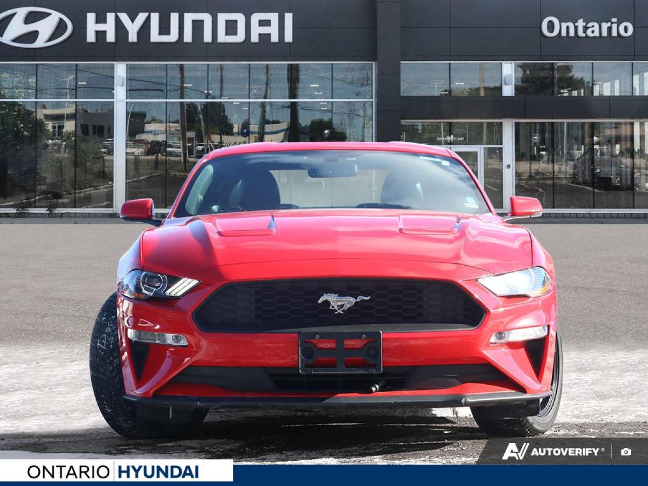 2019 Ford Mustang EcoBoost Premium 2dr Fastback Photo