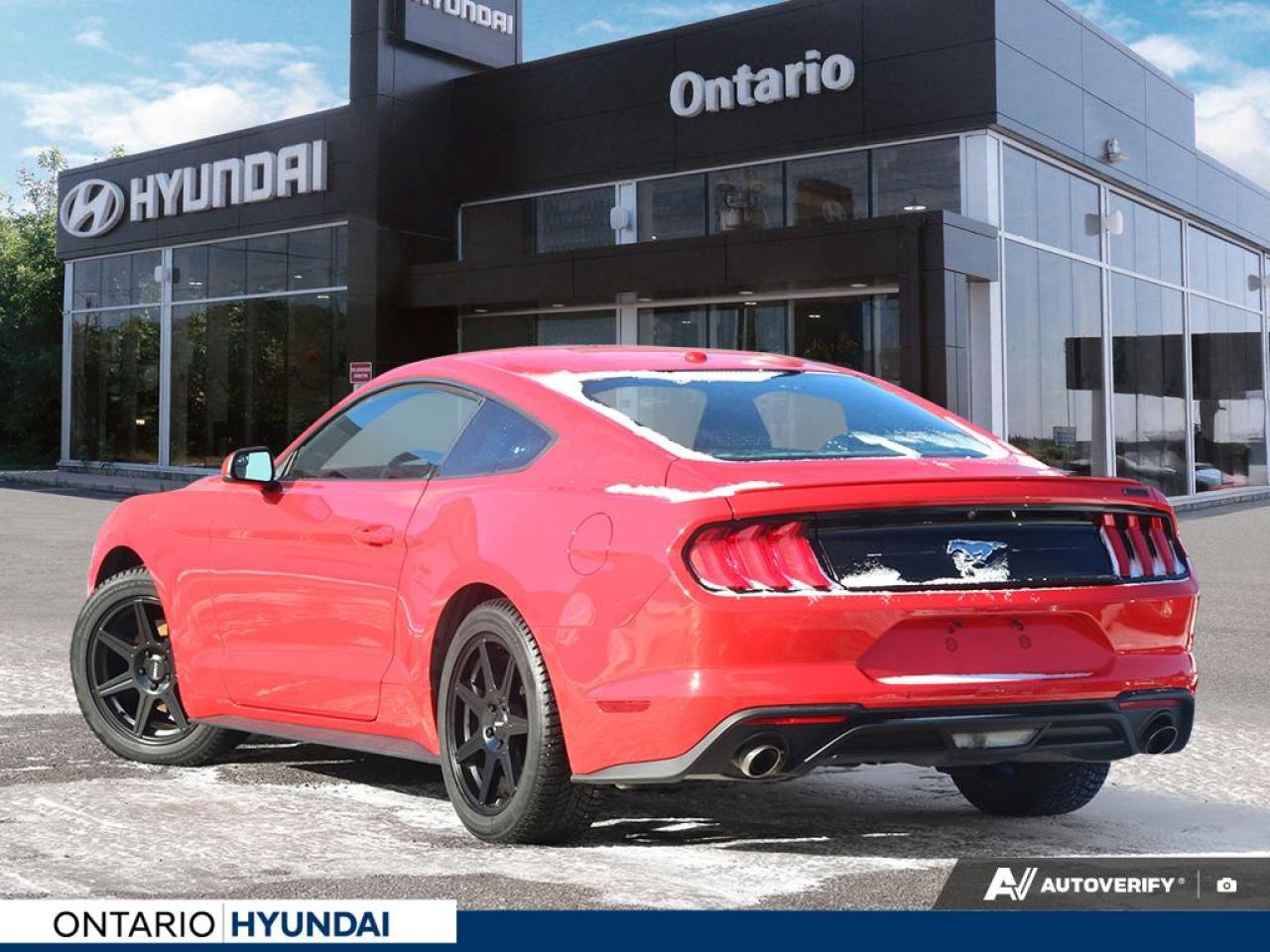 2019 Ford Mustang EcoBoost Premium 2dr Fastback Photo3