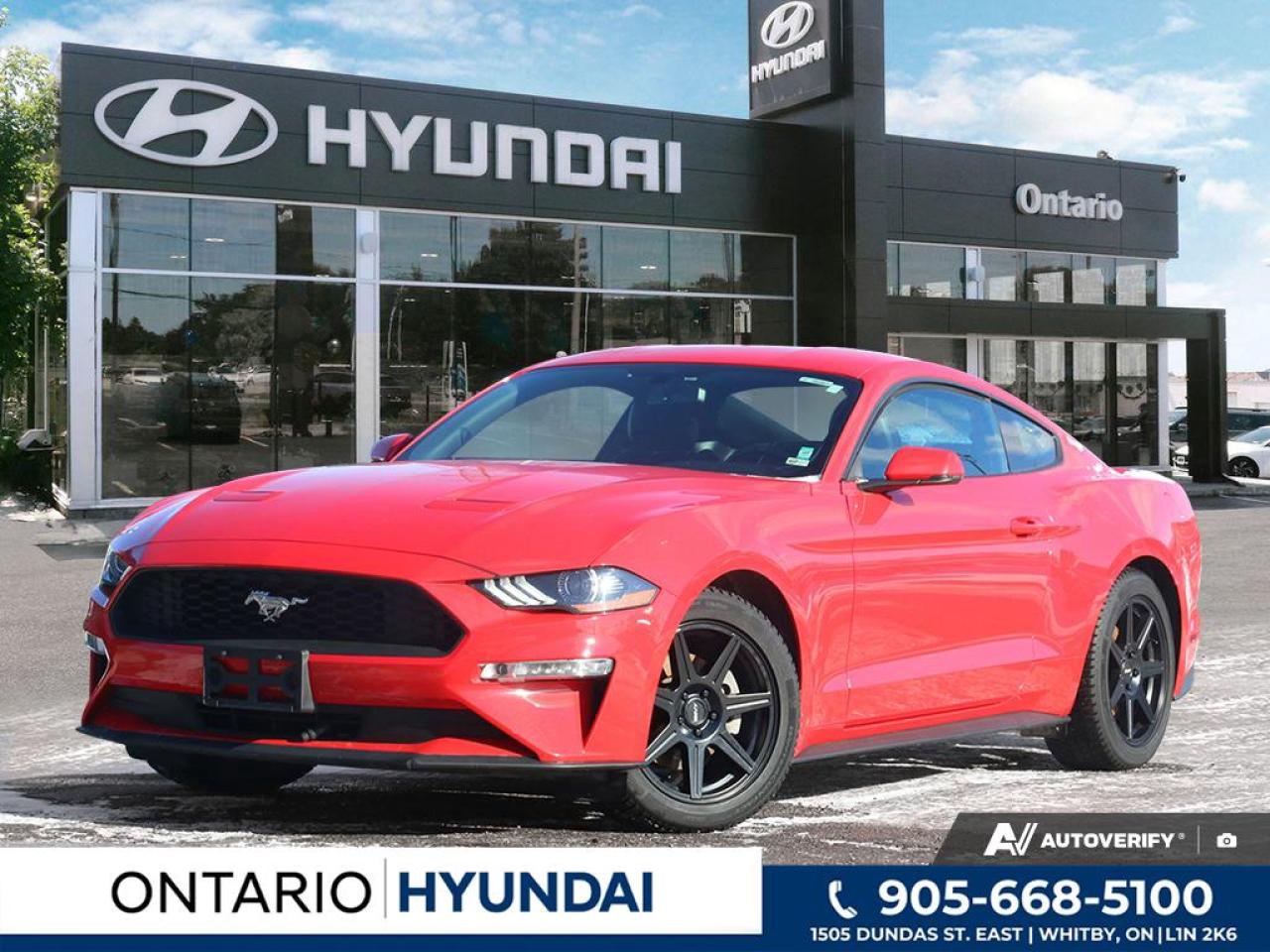 2019 Ford Mustang EcoBoost Premium 2dr Fastback Photo0