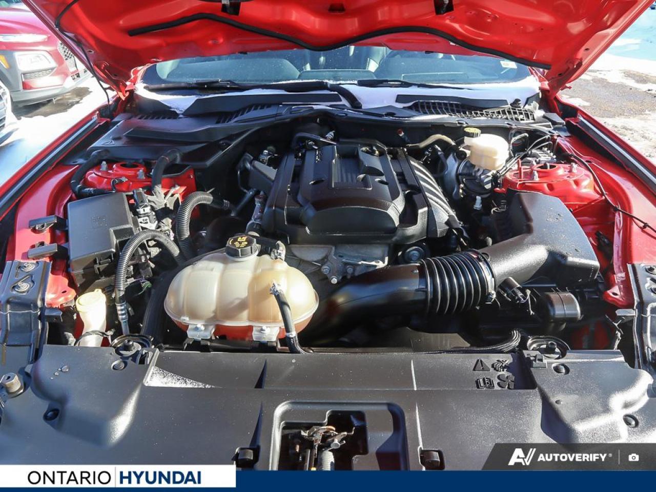 2019 Ford Mustang EcoBoost Premium 2dr Fastback Photo