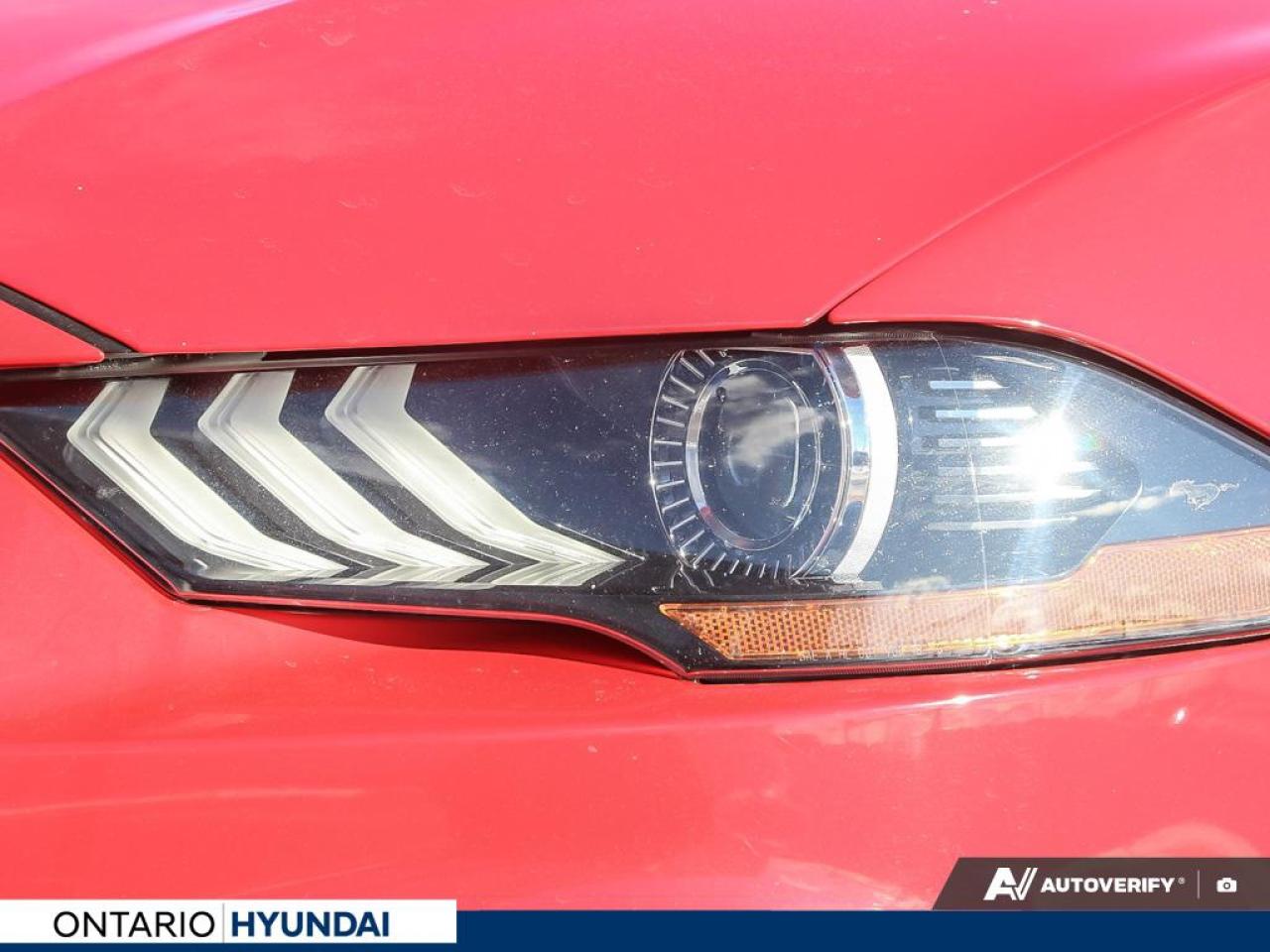 2019 Ford Mustang EcoBoost Premium 2dr Fastback Photo