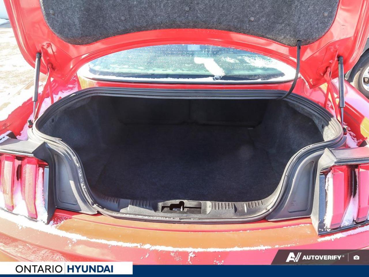 2019 Ford Mustang EcoBoost Premium 2dr Fastback Photo