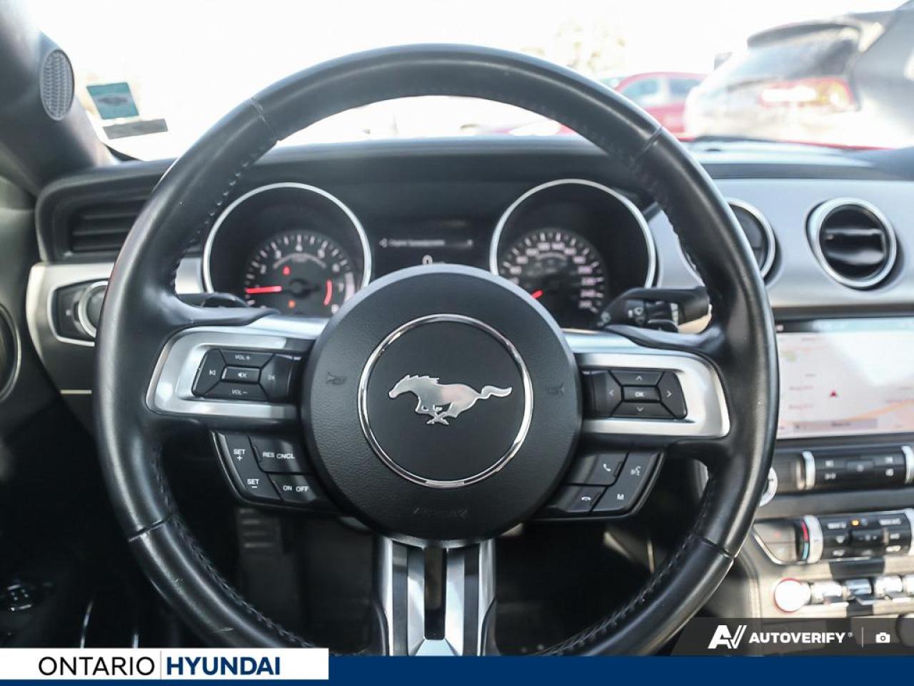 2019 Ford Mustang EcoBoost Premium 2dr Fastback Photo