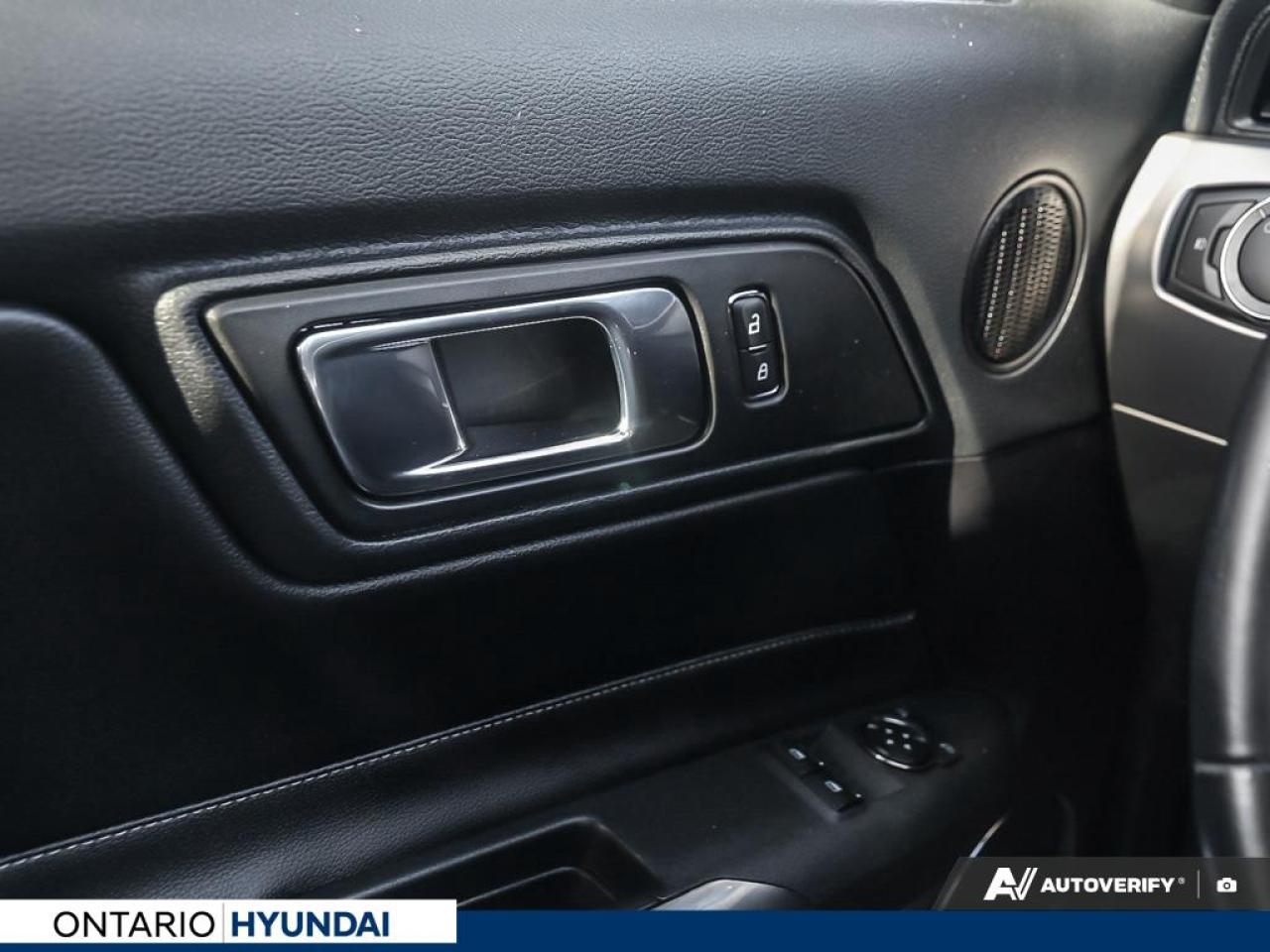 2019 Ford Mustang EcoBoost Premium 2dr Fastback Photo