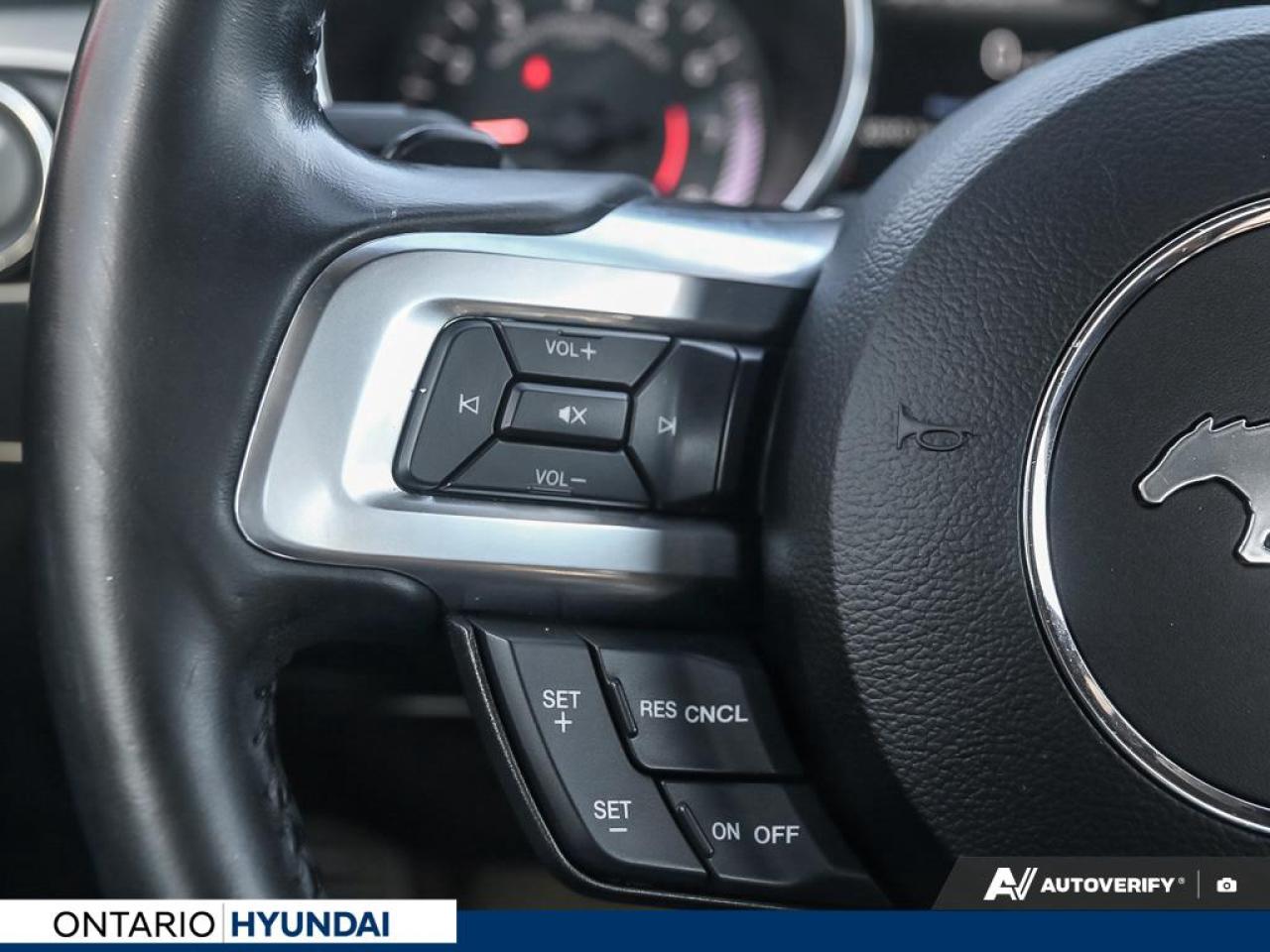 2019 Ford Mustang EcoBoost Premium 2dr Fastback Photo