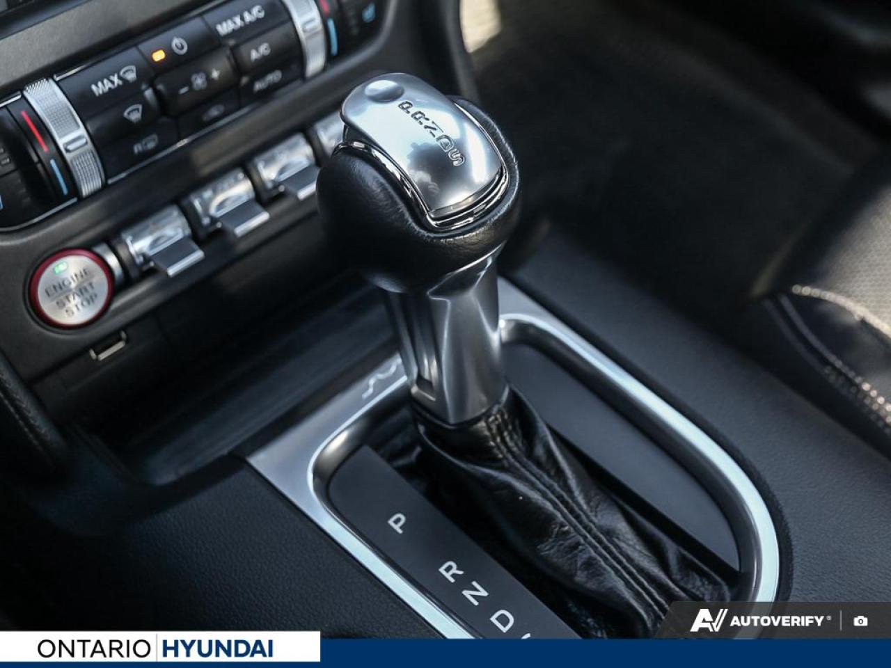 2019 Ford Mustang EcoBoost Premium 2dr Fastback Photo