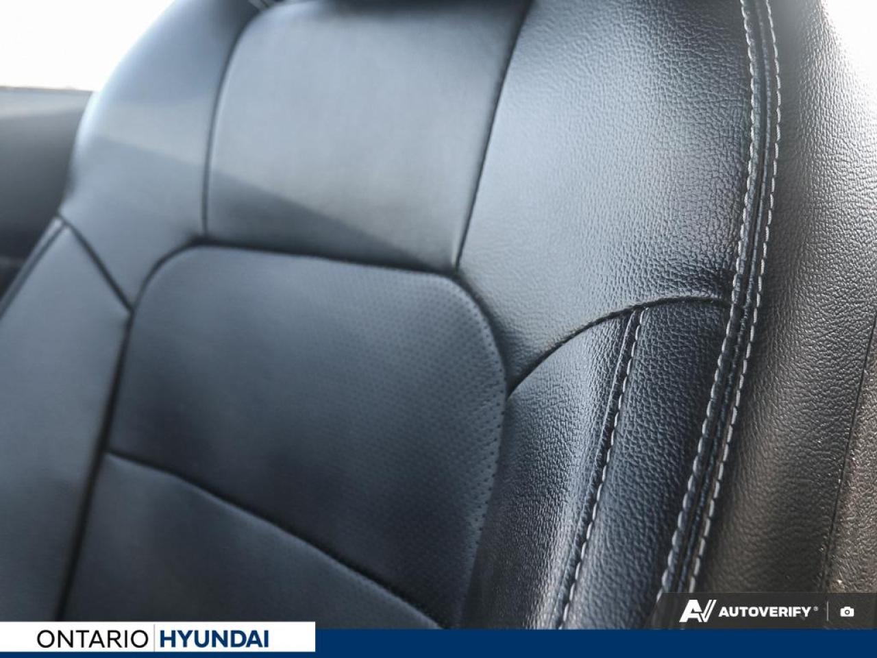 2019 Ford Mustang EcoBoost Premium 2dr Fastback Photo