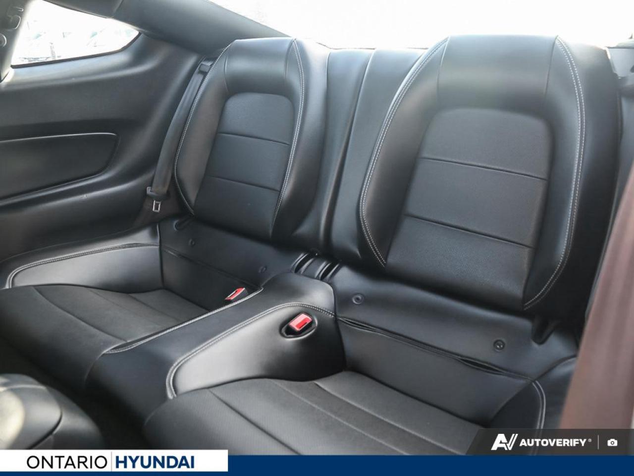 2019 Ford Mustang EcoBoost Premium 2dr Fastback Photo