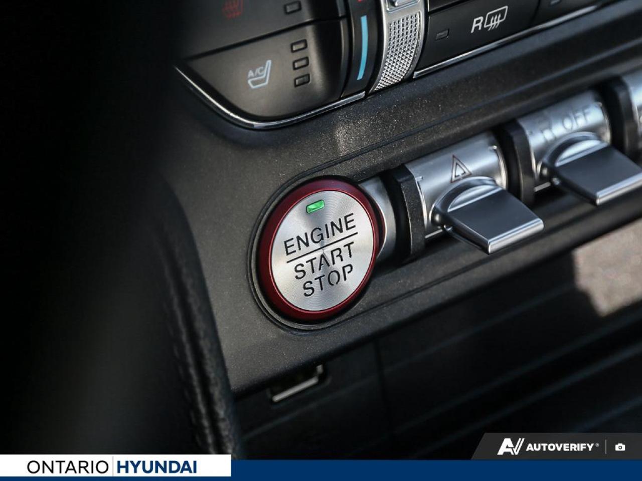 2019 Ford Mustang EcoBoost Premium 2dr Fastback Photo