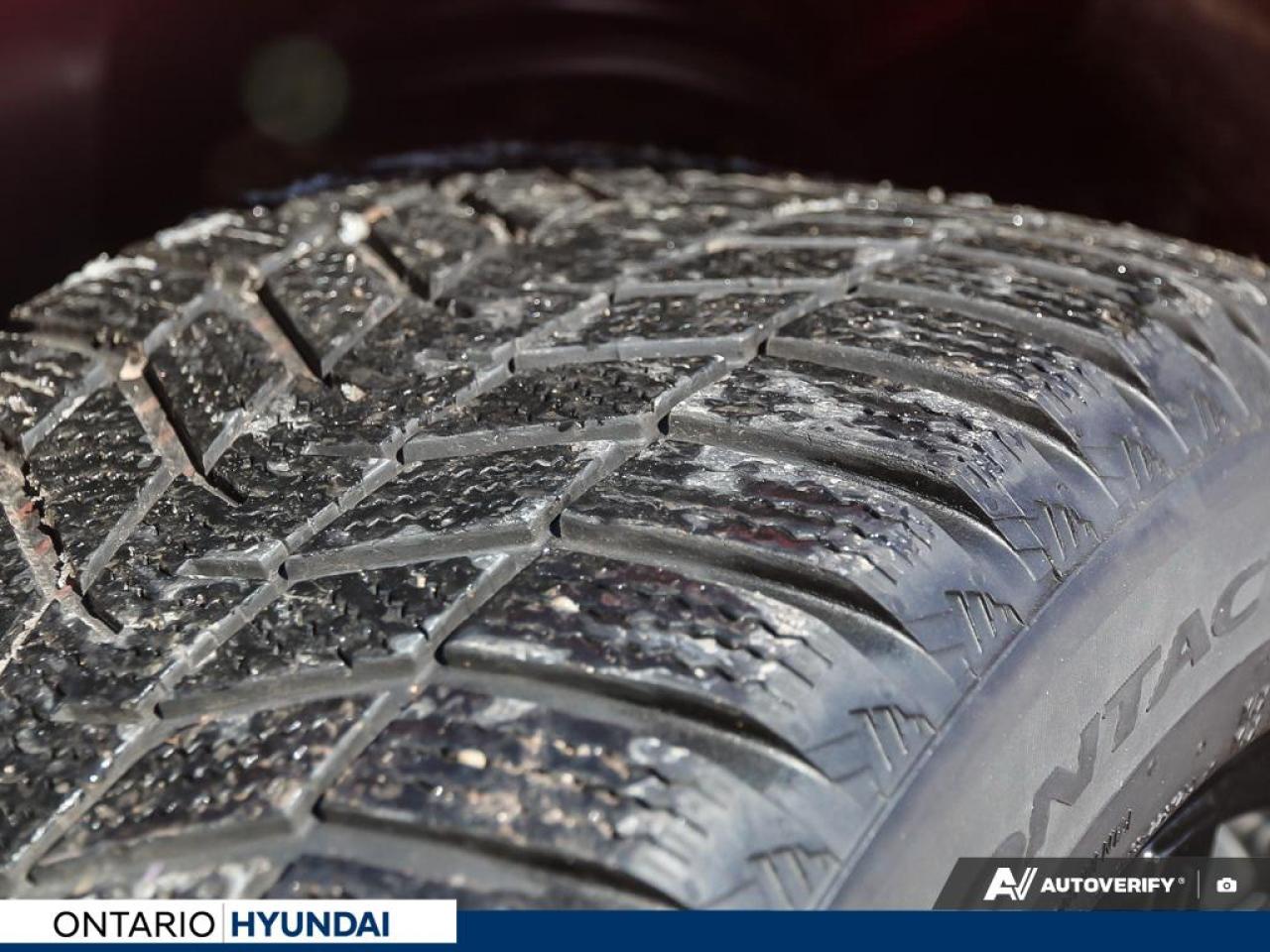 2019 Ford Mustang EcoBoost Premium 2dr Fastback Photo