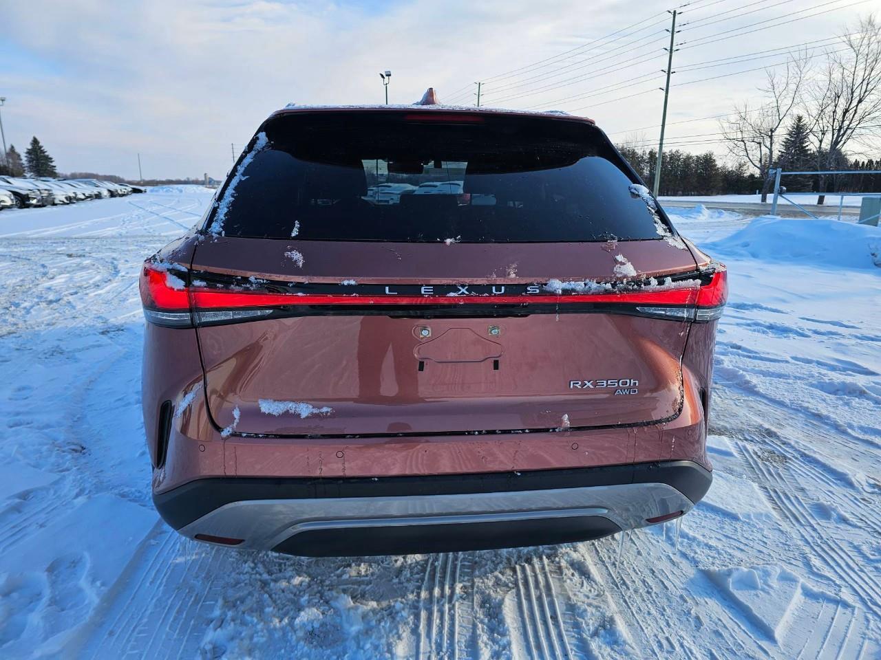 2023 Lexus RX 350H Base 4dr All-Wheel Drive Photo