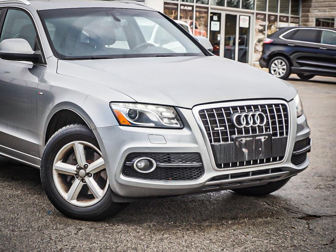 2009 Audi Q5  Photo