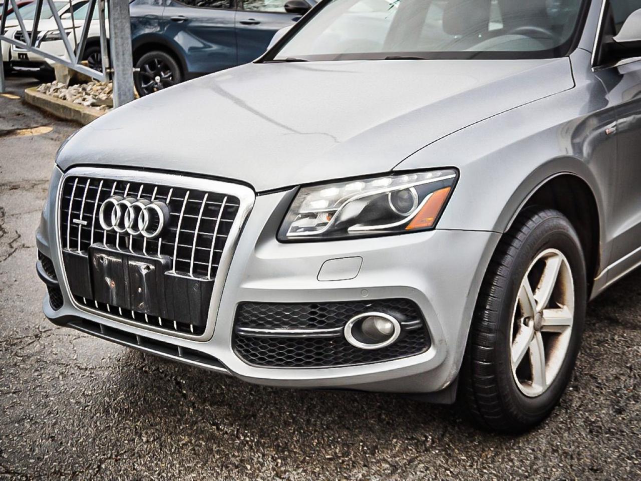 2009 Audi Q5  Photo3
