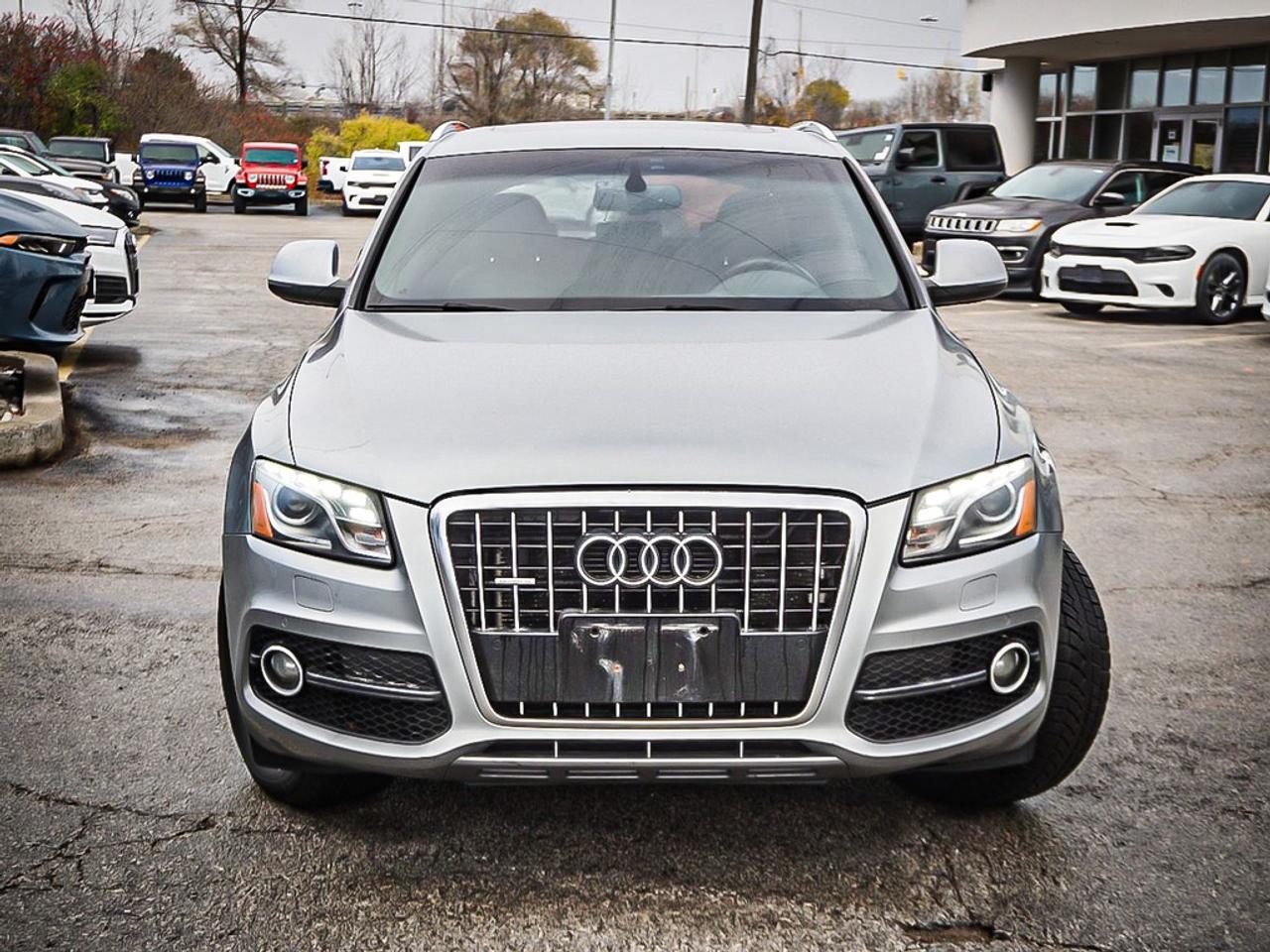 2009 Audi Q5  Photo2