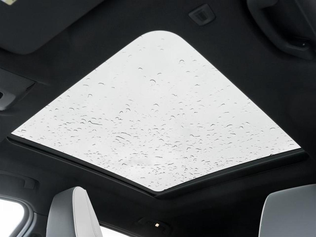 2026 BMW X2 xDrive28i 4dr All-Wheel Drive Sports Activity Coupe Photo