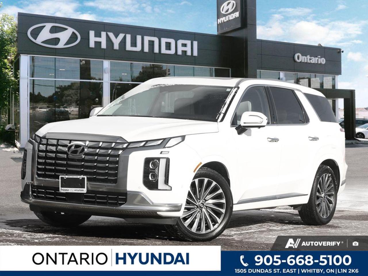 2025 Hyundai PALISADE Ultimate Calligraphy w/Beige Interior 4dr All-Wheel Drive Photo0