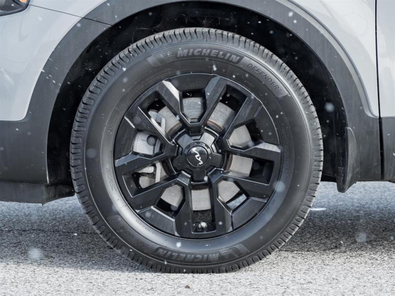 2023 Kia Telluride  Photo4