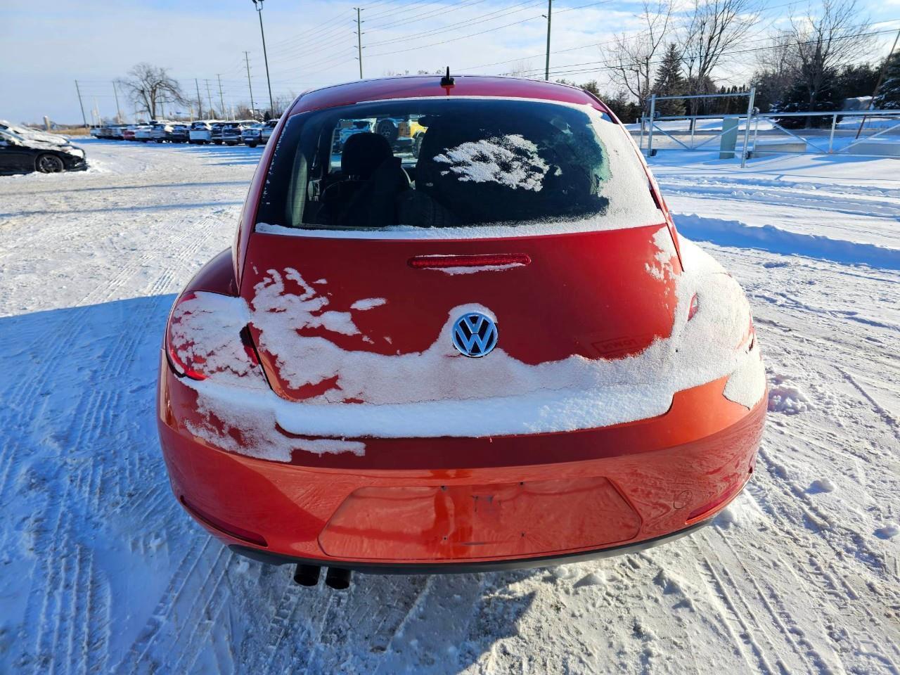 2016 Volkswagen Beetle 1.8 TSI Trendline (A6) 2dr Hatchback Photo