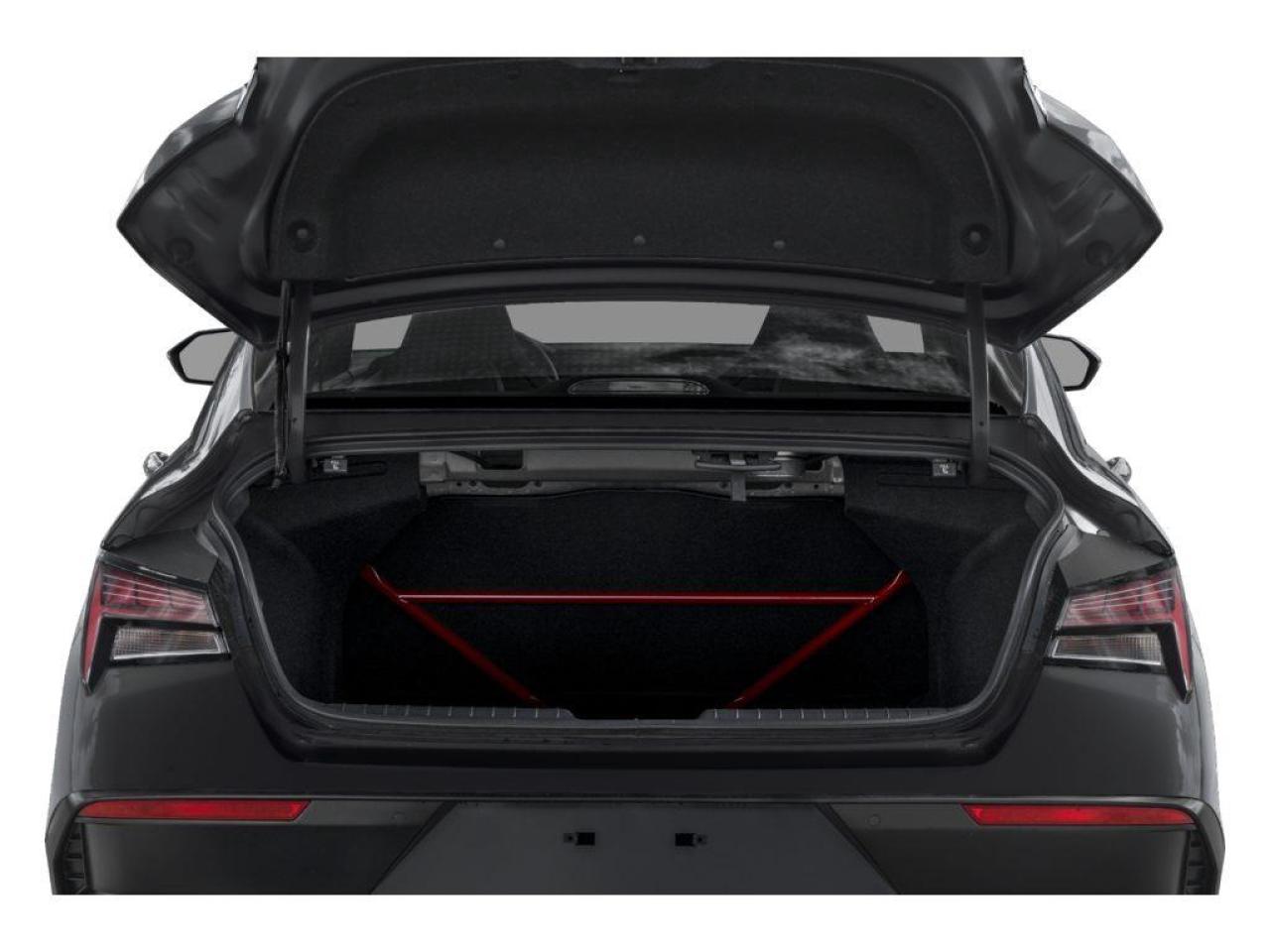 2026 Hyundai Elantra N TCR 4dr Sedan Photo