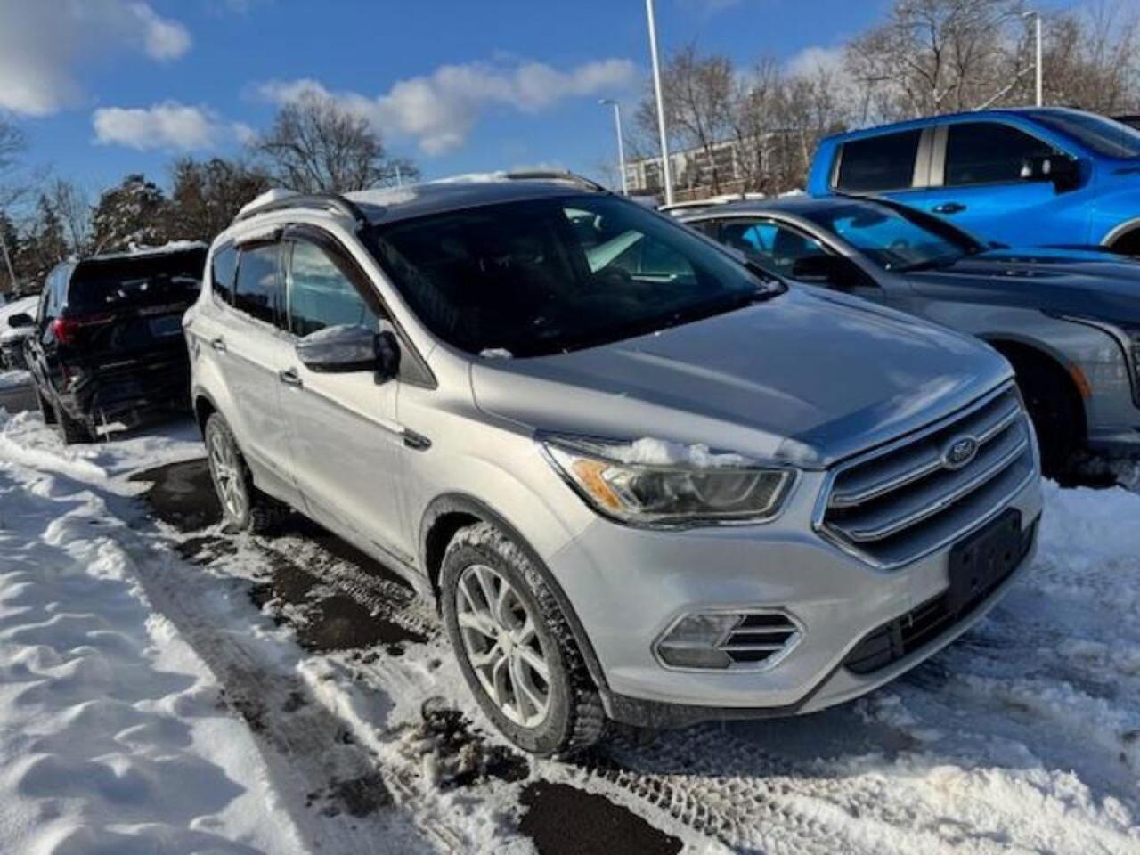 2017 Ford Escape SE 4dr 4x4 Photo0