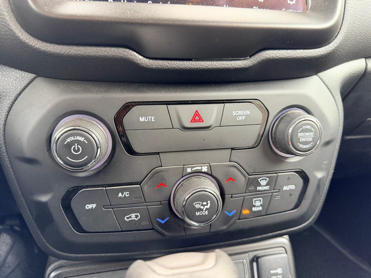 2021 Jeep Renegade 80th Anniversary 4x4 Photo