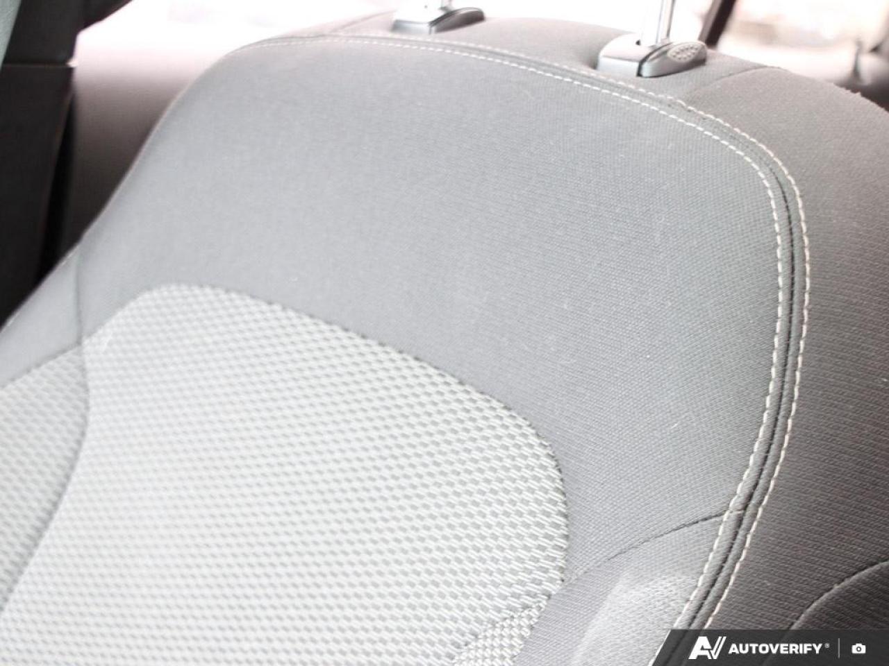 2017 Ford Explorer 4WD 4dr XLT Photo