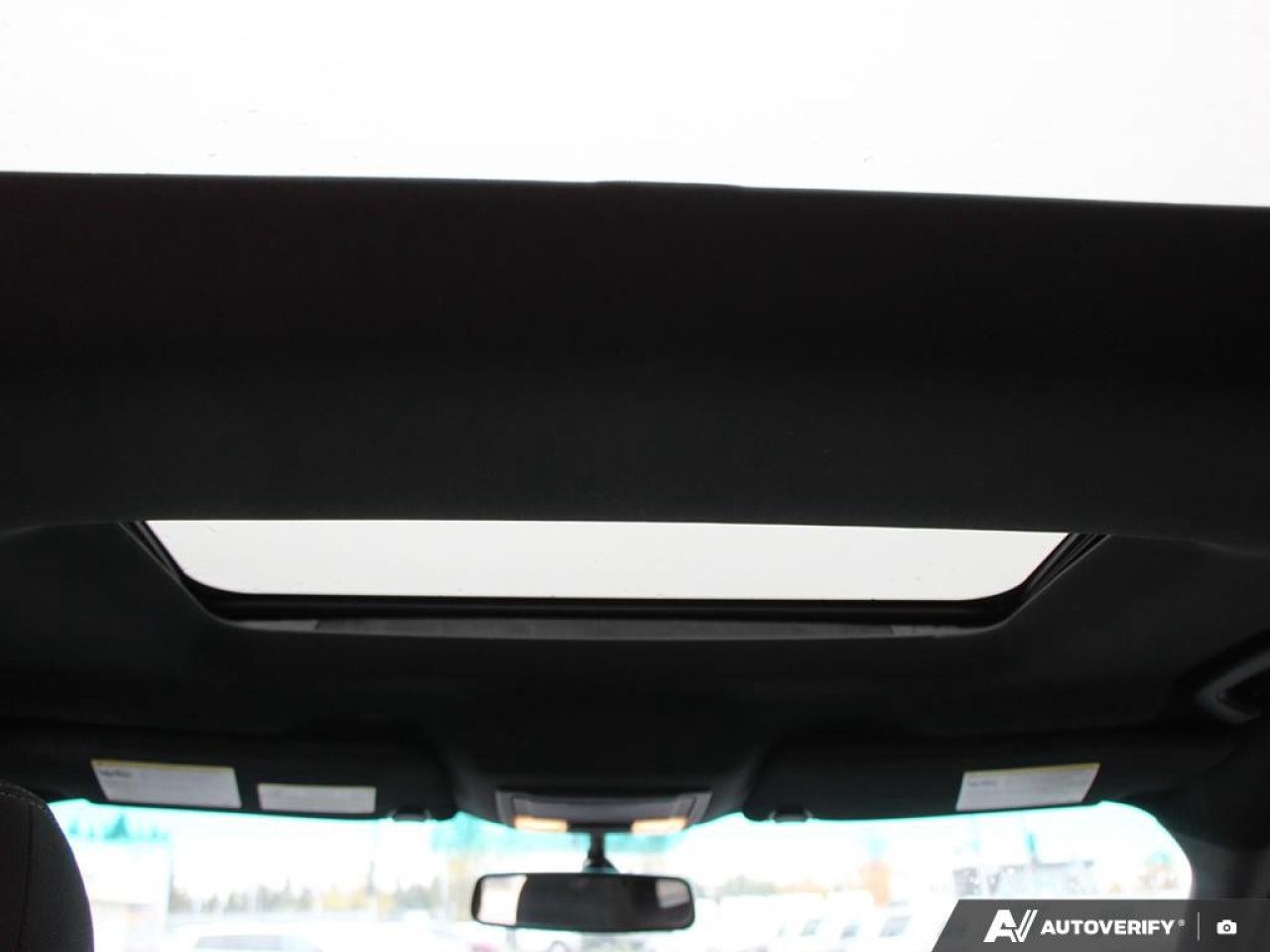 2017 Ford Explorer 4WD 4dr XLT Photo