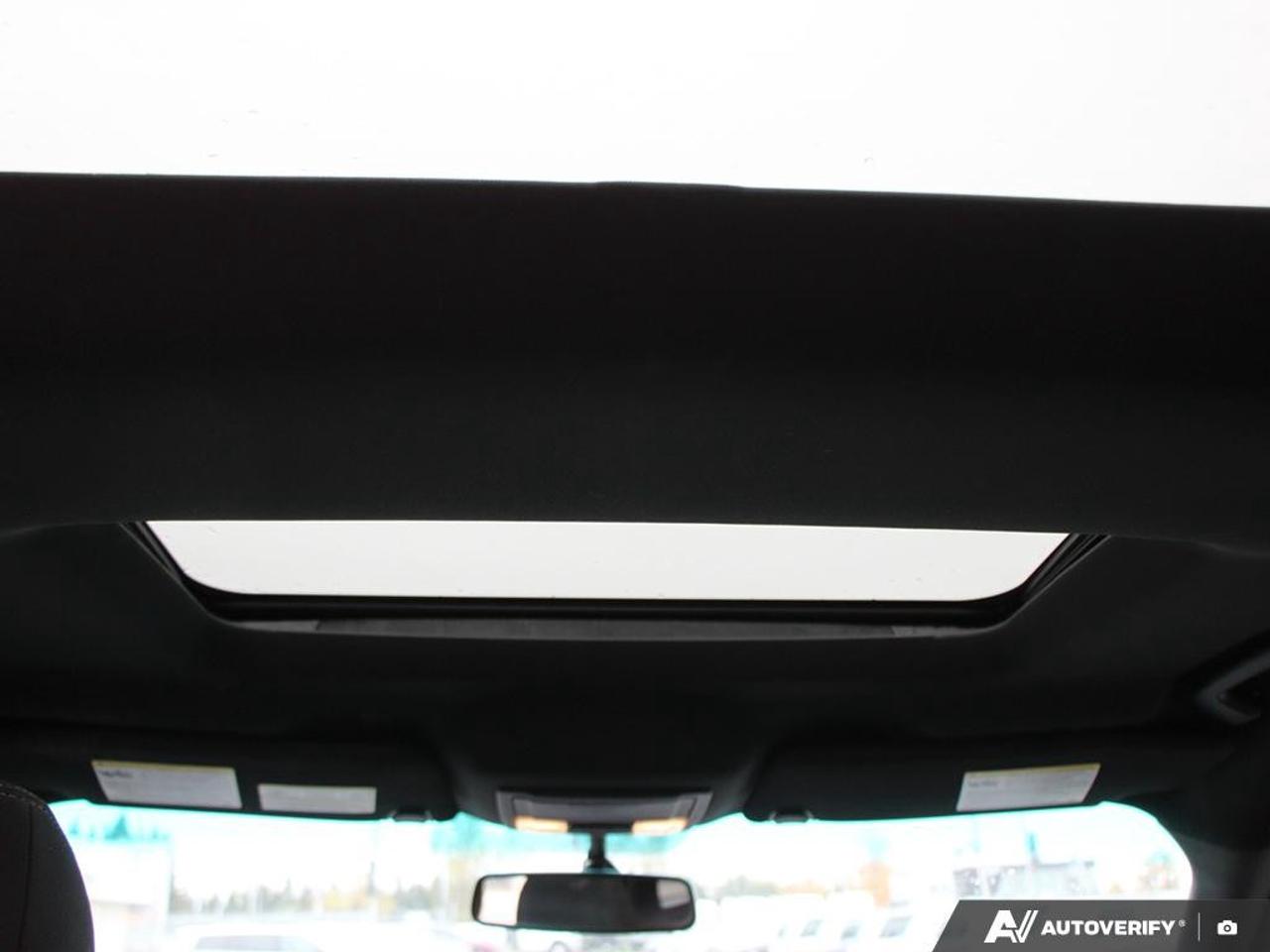 2017 Ford Explorer 4WD 4dr XLT Photo