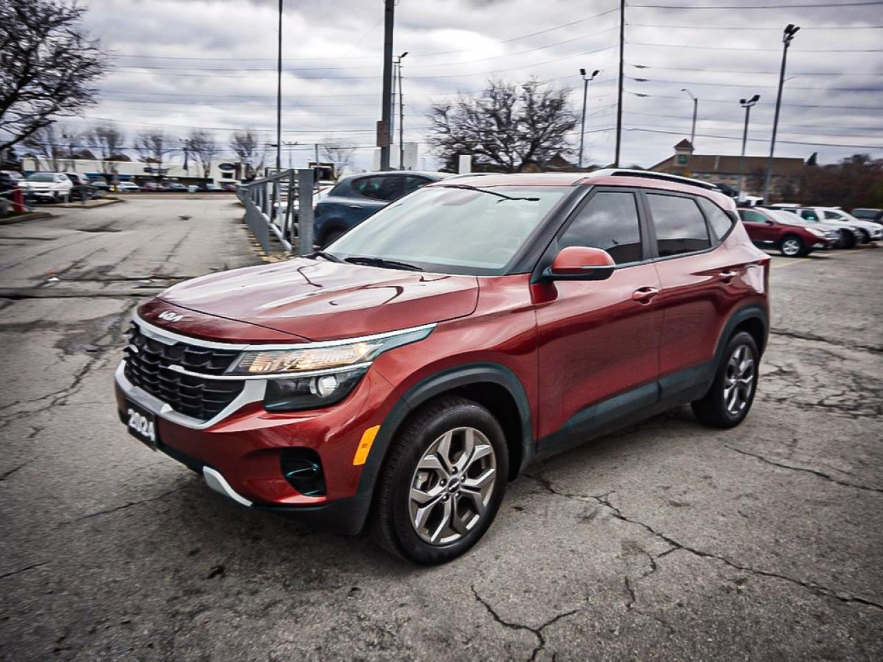 2024 Kia Seltos  Photo