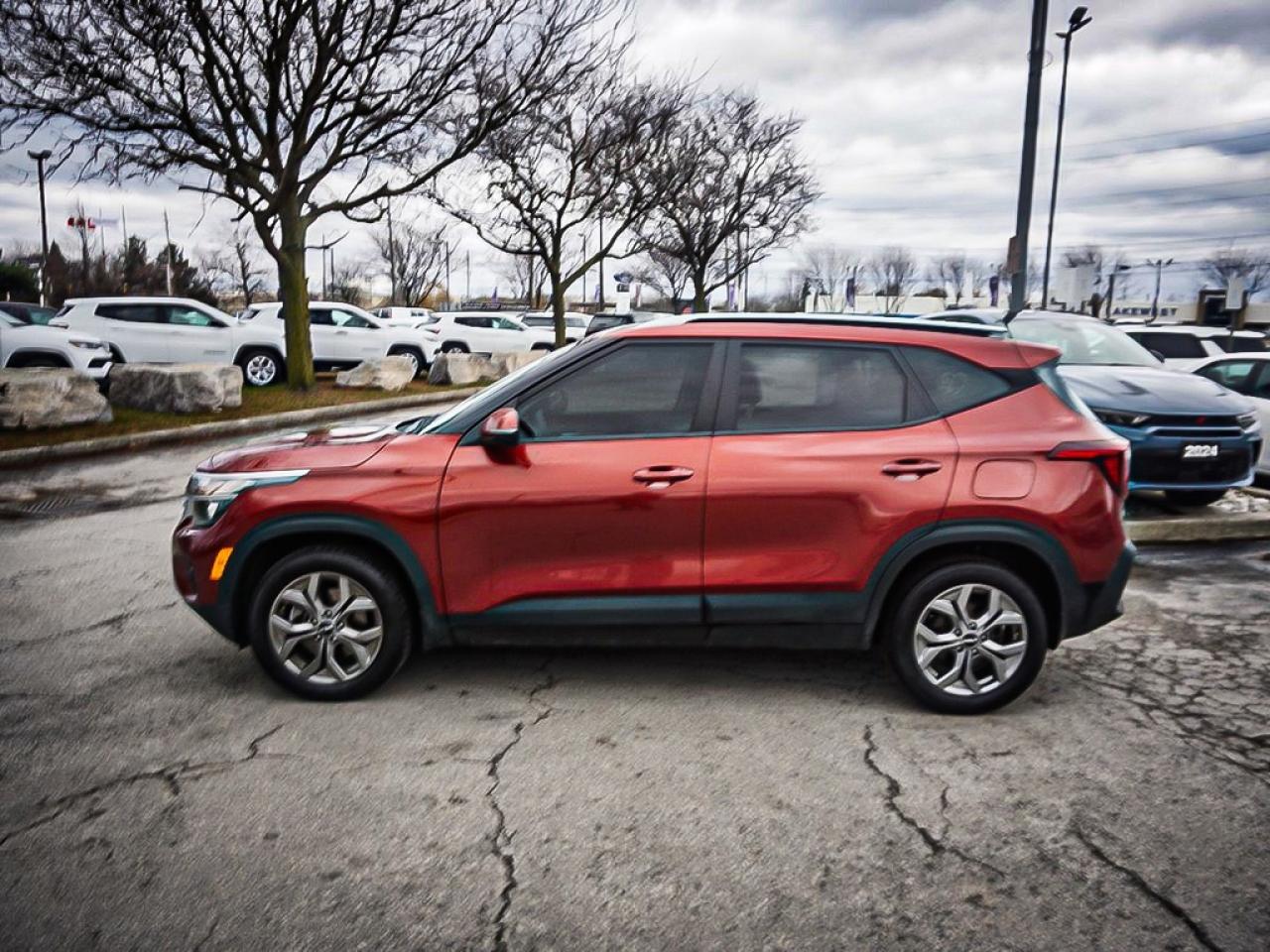 2024 Kia Seltos  Photo