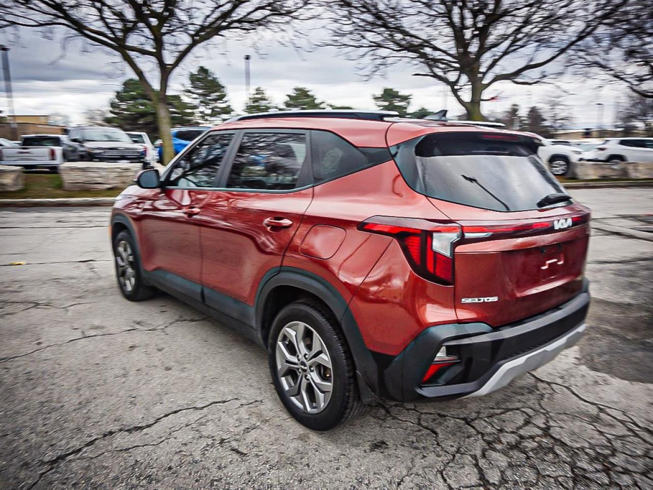 2024 Kia Seltos  Photo