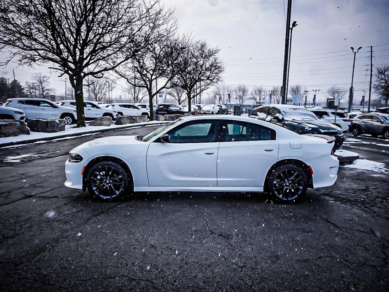 2023 Dodge Charger  Photo