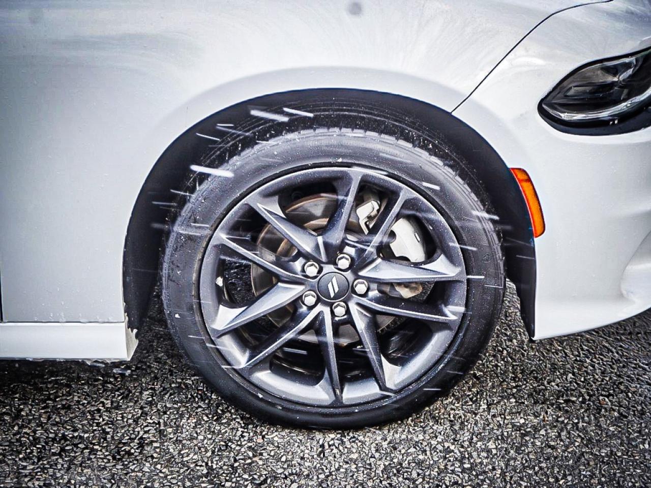 2023 Dodge Charger  Photo